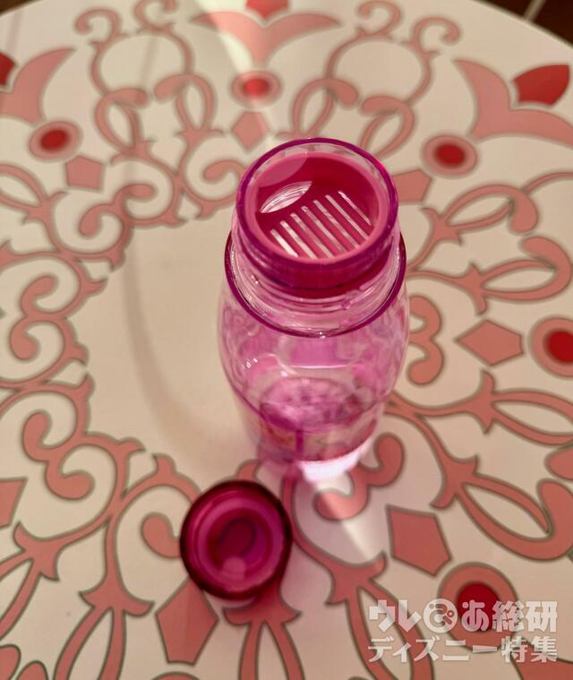 “ミニーのファンダーランド”スーベニアドリンクボトル