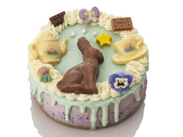 「＜OPENER Chocolate＞とろけるミックスベリーヨーグルトのケーキ（ヴィーガン／森のティーパーティー）」＜価格：7,107円（税込）＞【東急百貨店の“2025年クリスマスケーキ＆デリ・オードブル ”10月1日より予約開始！「SHIBUYA FOOD ISLANDS」には限定品が登場！】