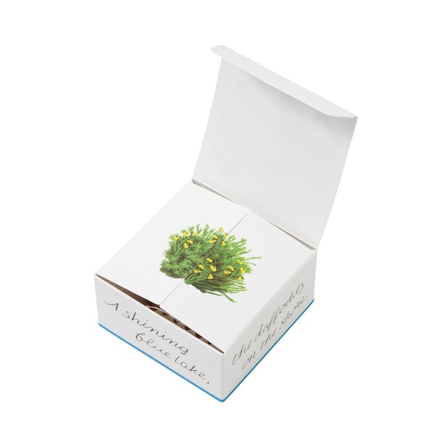 ボックスの内側にもデザインのこだわりが