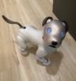笑顔のaibo