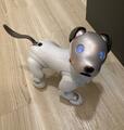 笑顔のaibo