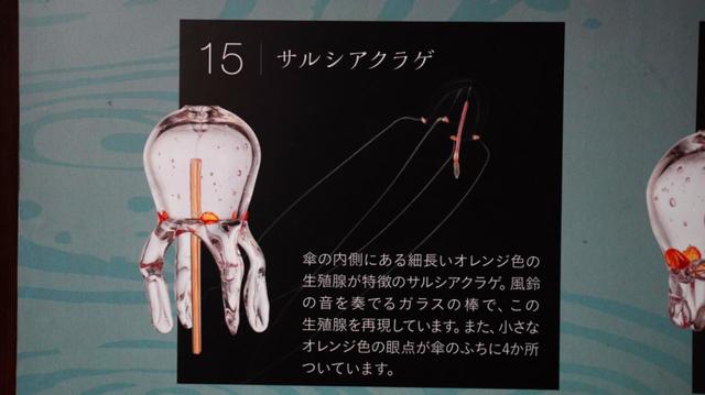 【20種類、130個の“クラゲ風鈴”が織りなす涼やかな音色「くらげと風鈴」7月3日(土)開始