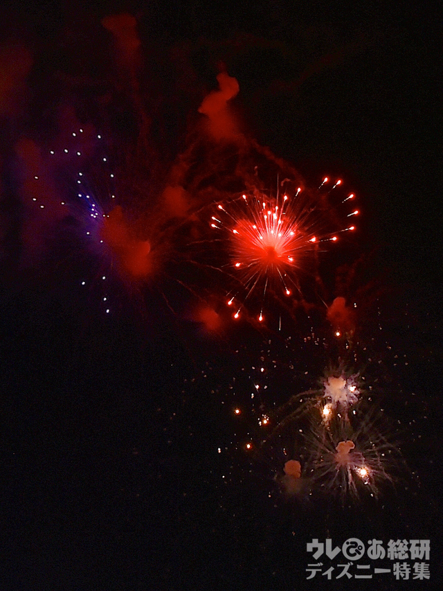 ブランニュードリーム｜東京ディズニーリゾート35周年“Happiest Celebration! ”