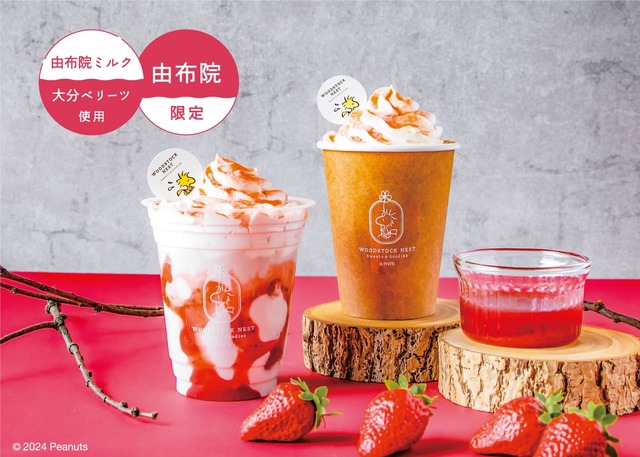 【WOODSTOCK NEST】「大分ベリーツドリンク　ICE/HOT」￥700