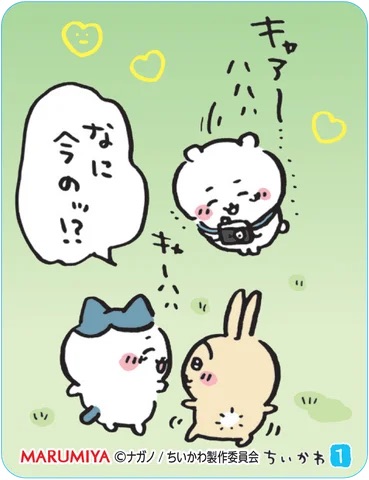 「期間限定 ちいかわまぜごはんの素<さけ&ツナマヨ>」