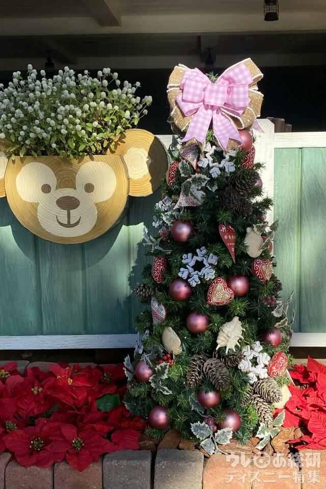 ダッフィーたちのクリスマスツリー