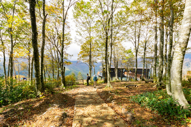 絶景テラス「HAKUBA MOUNTAIN HARBOR」｜白馬岩岳マウンテンリゾート