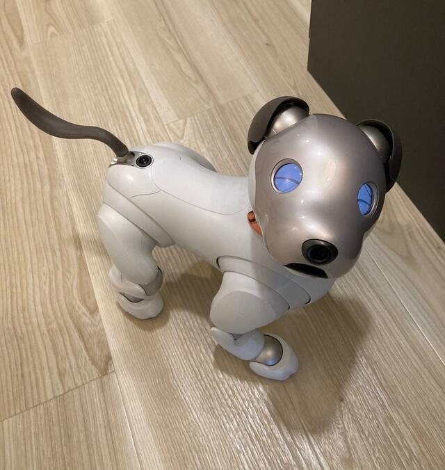 笑顔のaibo