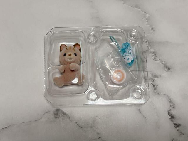 7.シマネコの赤ちゃんが登場！