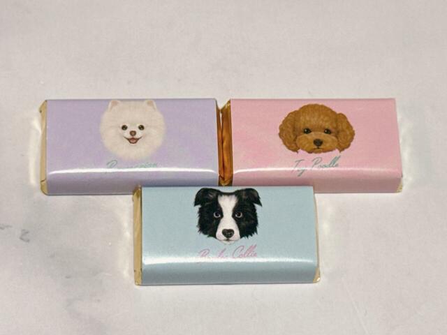 【カルディ ドッグミニパック　チョコレート】パステルカラーがかわいい♪