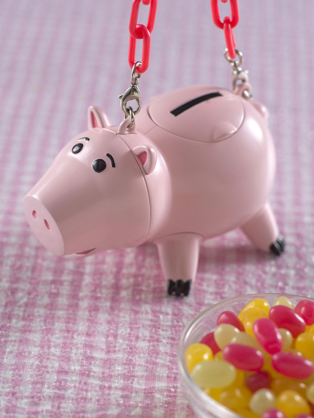 グミキャンディー、ミニスナックケース付き ¥850