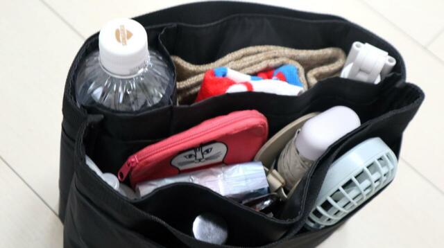 【無印良品 ナイロンバッグインバッグ】こちらも余裕で入りました。当日の天候などによって「どのバッグで行くか」迷っていても、荷物だけ先にまとめておけるので便利！