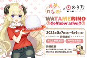 WATAMERINO Collaboration