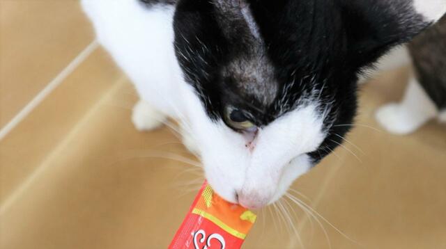 【いなば CIAOちゅ～る】袋の切り口から直接なめて食べるのが格別らしい