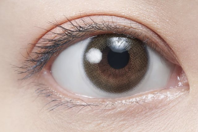 初心者にもおすすめの「SOF BLACK」