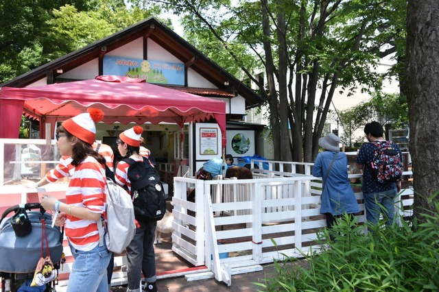 ショーケースにデッカイイグアナがいる