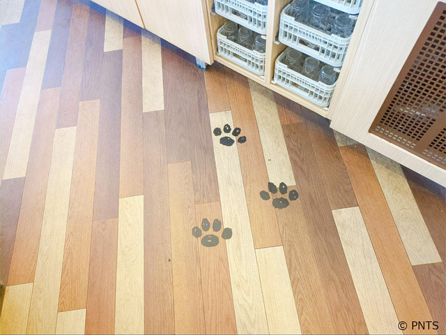 【ジョイフル×スヌーピー】ドリンクバー付近にはかわいい足跡も