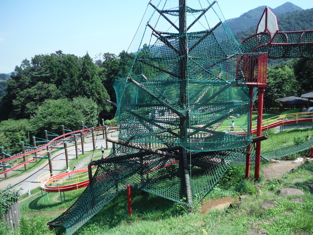神奈川県立あいかわ公園のアスレチック「巨大ツリー」