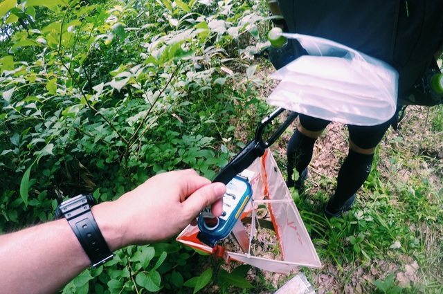 DCIM100GOPROGOPR7544. Processed with VSCO with c1 preset