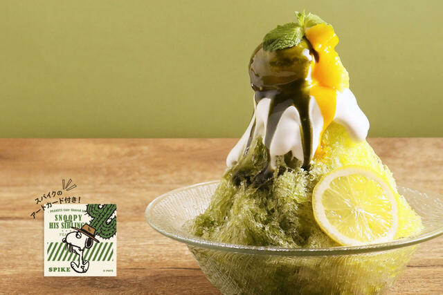 「スパイクの抹茶レモンかき氷 ※コンセプトコミックのアートカード付（C）2024 Peanuts Worldwide LLC」＜価格：Eat in ¥1,320（税込）＞【暑い季節にぴったり！スヌーピーときょうだいたちの“カラフルかき氷”が「PEANUTS Cafe」に登場！】