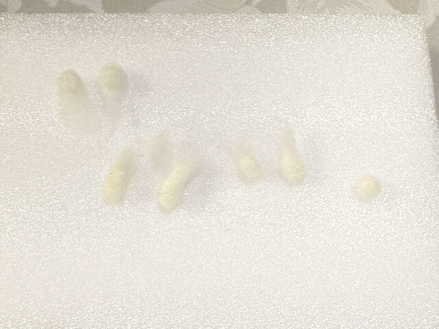 耳、手足、尻尾ができました！