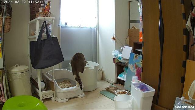 【SwitchBot 見守りカメラ 】トイレに入る時間や長さも把握できて健康管理にも◎   