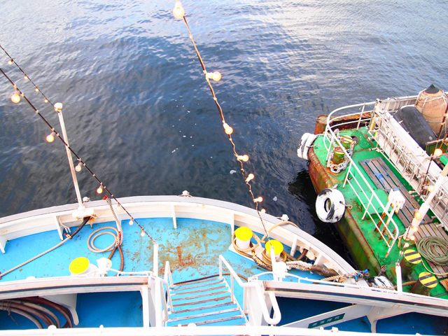 豪華クルージングで横浜の夜景を楽しめる「ゆかた祭り」