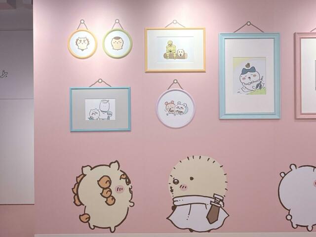 シーサーとラッコ。見上げている写真は…