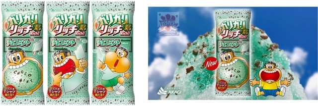 ガリガリ君リッチチョコミント 