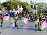 2017年「フローズンファンタジーパレード」｜東京ディズニーランド「アナとエルサのフローズンファンタジー」