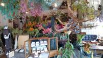 店内装飾は「花処百白花」