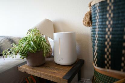 4軒目でやっと手に入れた、ニトリの「タンクを外せる加湿器」。秒で