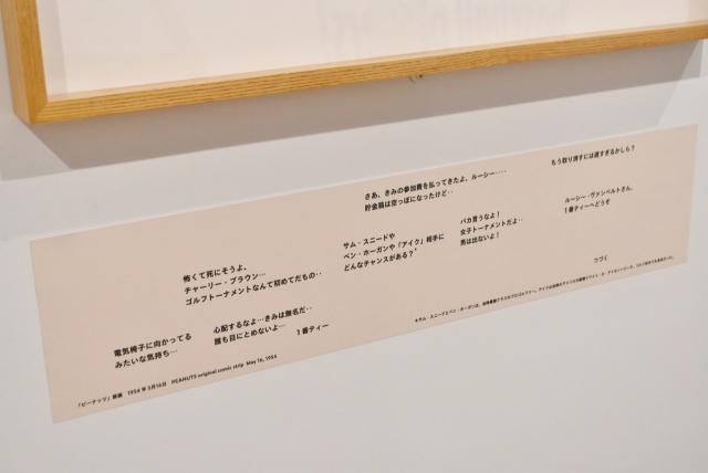 解説や訳がついている