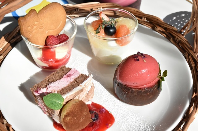 キャッツ ナップタイム アフタヌーンティーセット