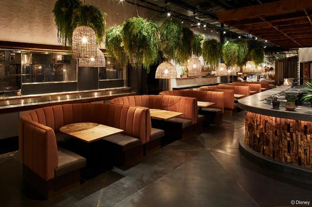 【Disney HARVEST MARKET】