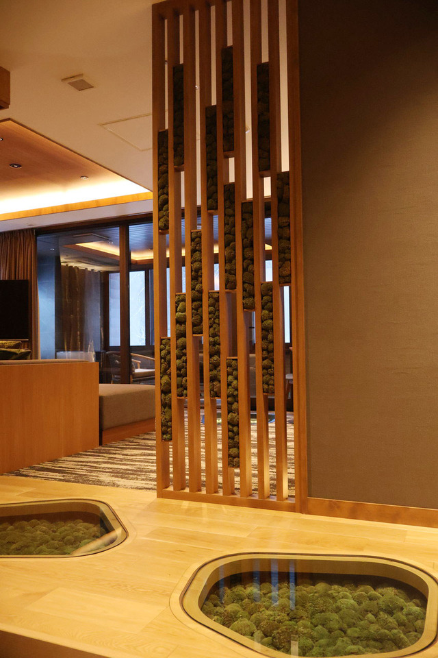 「苔スイートルーム」入り口をあけると、床にも苔が!