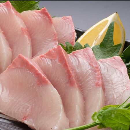 高知県産ハマチ【海鮮れすとらん「魚のます」のお刺身食べ放題】