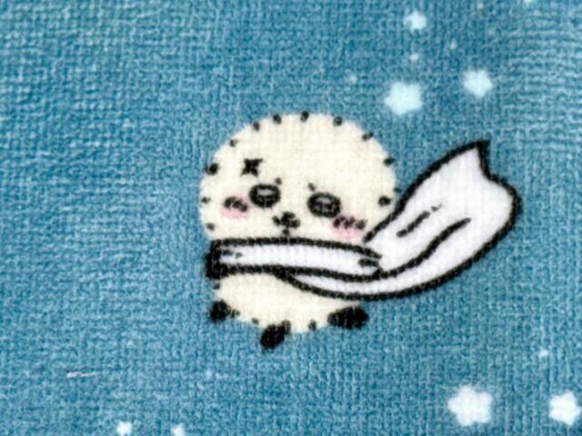 ラッコは、少し離れたところからみんなを見守っているような姿。マントを翻しておりかっこいいですね♪