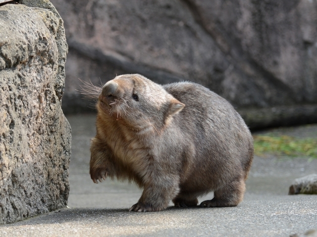 壁を見つめるヒロキ