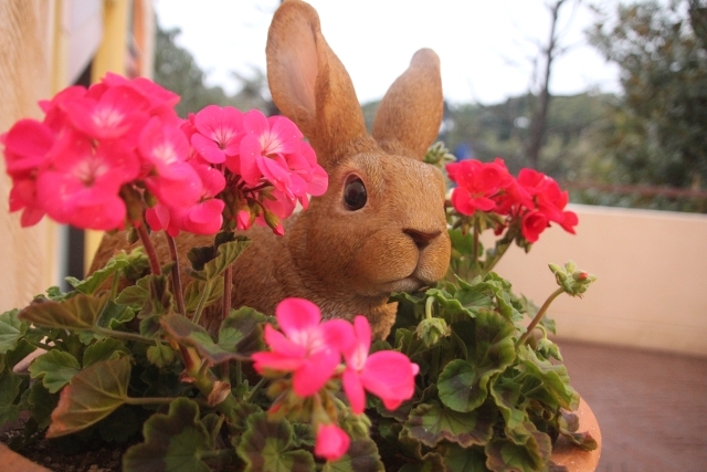 東京ディズニーリゾート「イクスピアリ・イースタータウン」