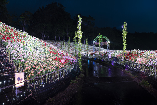 アパリゾート上越妙高「アパリュージョン2019」フラワーロード