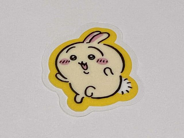 いつも元気でやんちゃなうさぎ♪