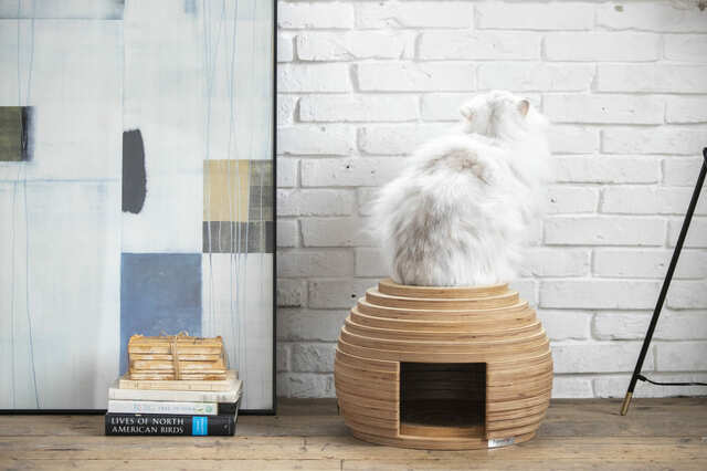 【フランスペット】「ねこハウス まり」