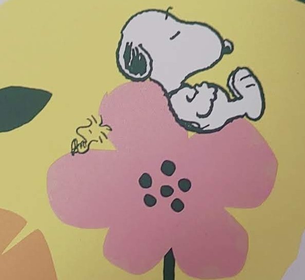 箱のイラスト拡大図