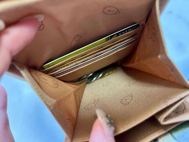 メインの収納にはコインを入れても◎