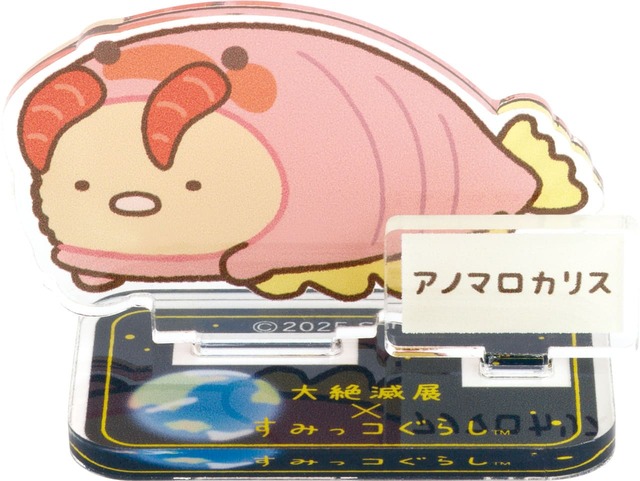 【大絶滅展×すみっコぐらし】カプセルトイ「アクリルスタンド」500円／とんかつ（アノマロカリス）