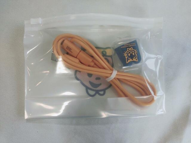 裏面は透明で付属のUSBや耳栓もすっぽり