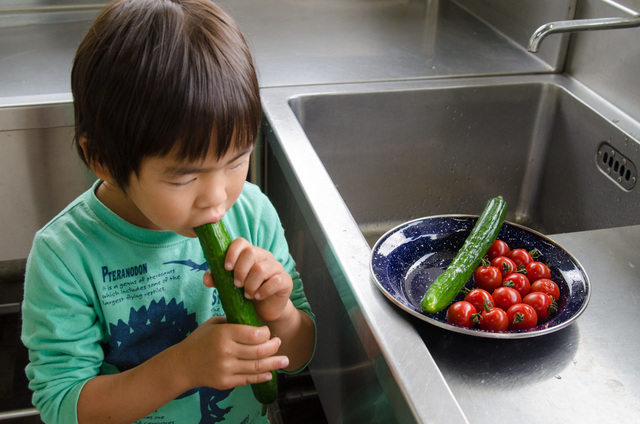 洗っている途中に、おもわずパクリ
