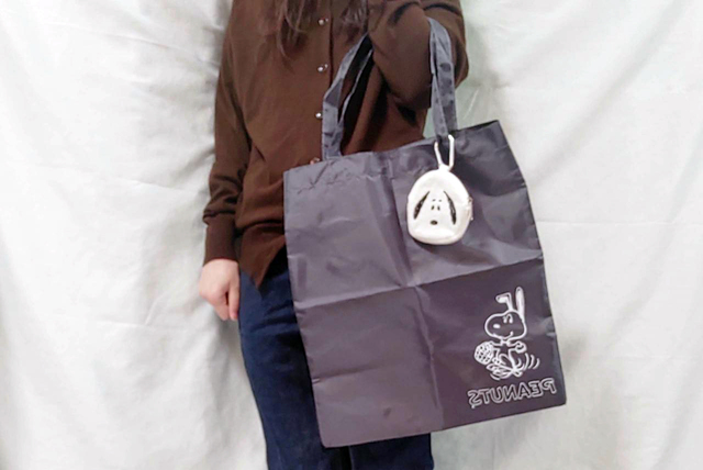 実際にエコバッグを持つとこんなサイズ感