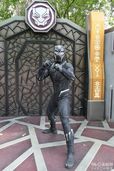 香港ディズニーランドのブラックパンサー